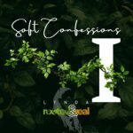 Soft Confessions Part 1: Romance Begins